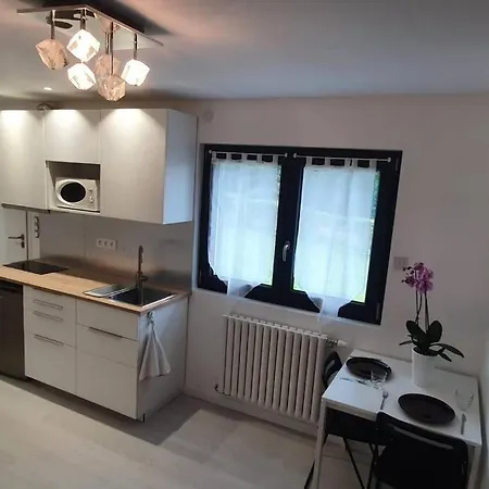 De 2 Pièces à Quelques Pas De La Suisse Appartement Divonne-les-Bains